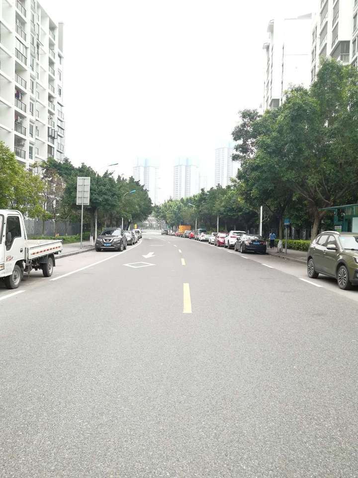 广州市番禺区石楼镇兴亚二路33号43座502房